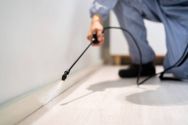 Licensed Termite Control service in Bandon, OR - Nex Pest Control