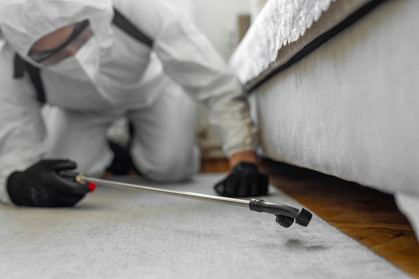 Professional Termite Control technician working in Bandon, OR