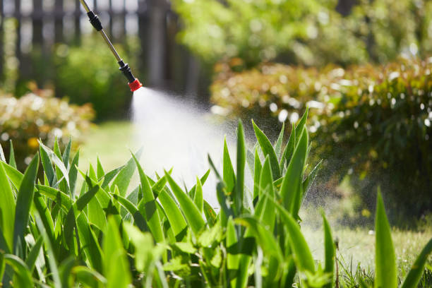 24/7 Emergency Termite Control experts in Bandon, OR