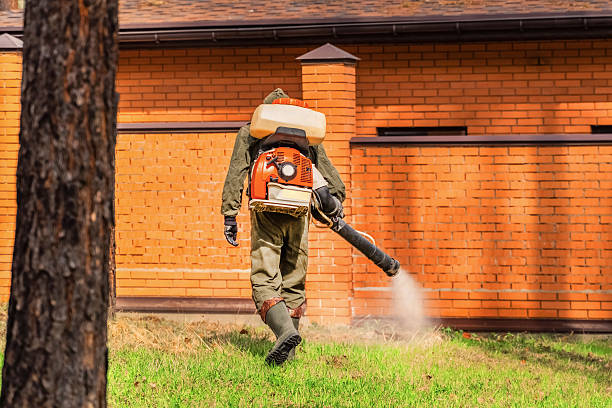 Trusted Ant Control service in Bandon, OR - Nex Pest Control